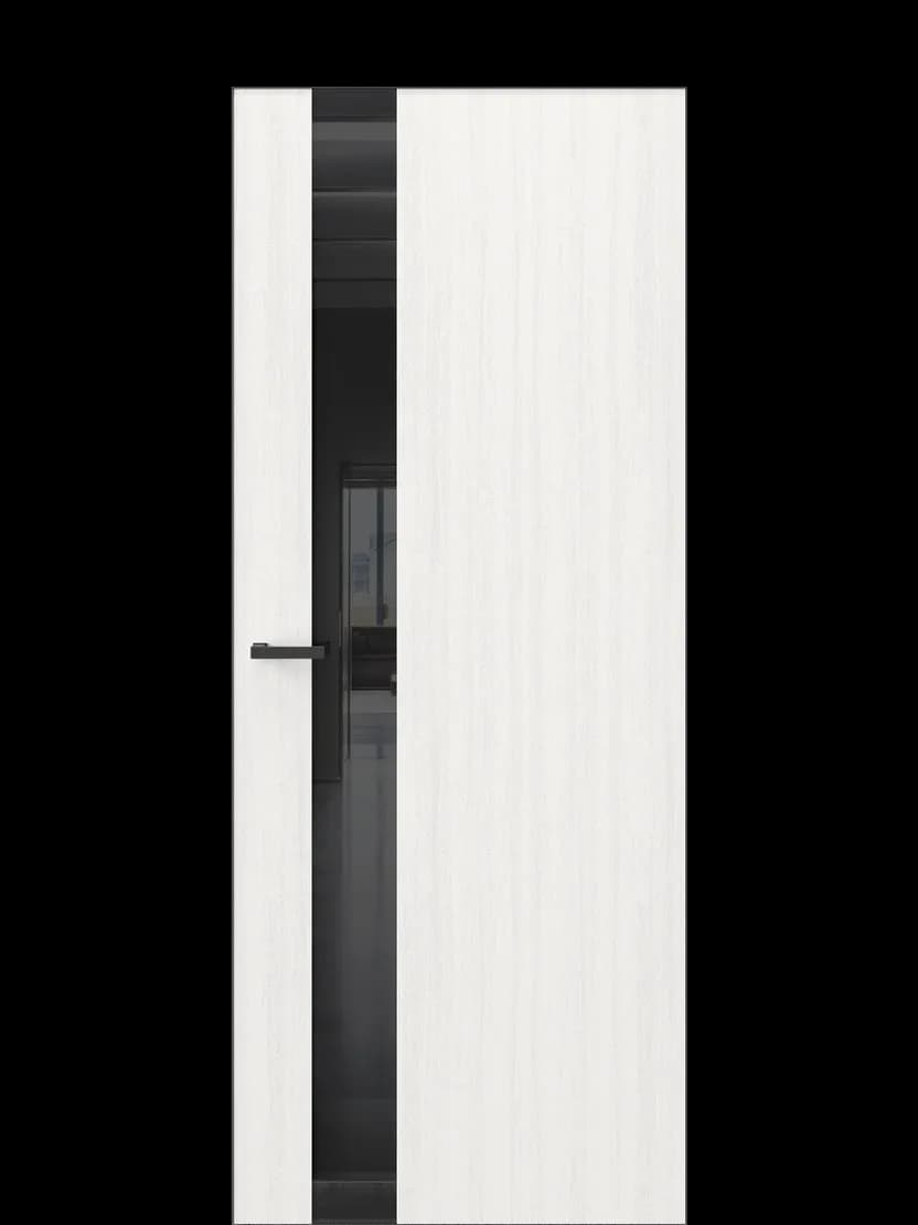 Скрытая дверь INFERRABLE DOORS INDUSTRIAL 2